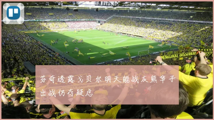 芬奇透露戈贝尔明天能战灰熊华子出战仍存疑虑