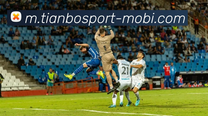 多媒体互动体验