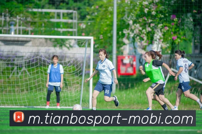 天博体育APP 体育赛事宣传图